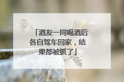 酒友一同喝酒后各自驾车回家，结果都被抓了