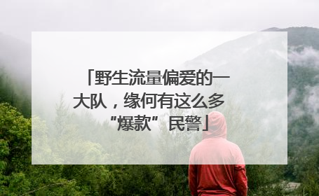 野生流量偏爱的一大队，缘何有这么多“爆款”民警