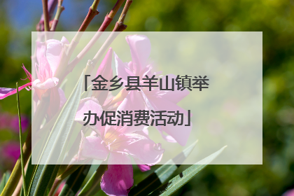 金乡县羊山镇举办促消费活动