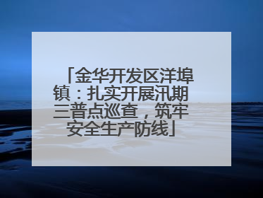 金华开发区洋埠镇：扎实开展汛期三普点巡查，筑牢安全生产防线
