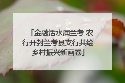 金融活水润兰考 农行开封兰考县支行共绘乡村振兴新画卷