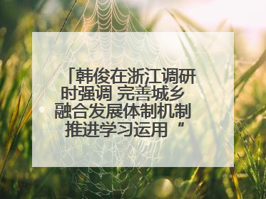 韩俊在浙江调研时强调 完善城乡融合发展体制机制 推进学习运用“千万工程”经验走深走实