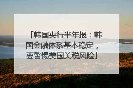 韩国央行半年报：韩国金融体系基本稳定，要警惕美国关税风险