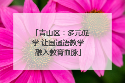 青山区：多元促学 让国通语教学融入教育血脉