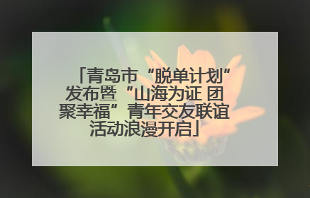 青岛市“脱单计划”发布暨“山海为证 团聚幸福”青年交友联谊活动浪漫开启