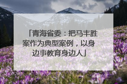 青海省委：把马丰胜案作为典型案例，以身边事教育身边人