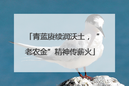 青蓝赓续润沃土，“老农金”精神传薪火