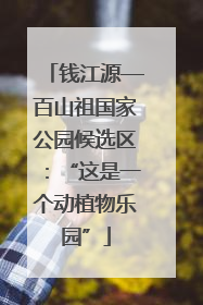 钱江源—百山祖国家公园候选区：“这是一个动植物乐园”