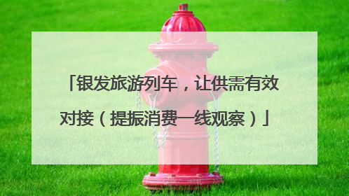 银发旅游列车，让供需有效对接（提振消费一线观察）