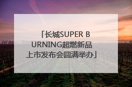 长城SUPER BURNING超燃新品上市发布会圆满举办