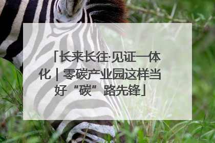 长来长往·见证一体化｜零碳产业园这样当好“碳”路先锋