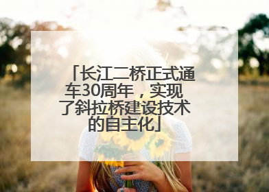 长江二桥正式通车30周年，实现了斜拉桥建设技术的自主化