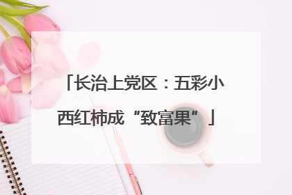 长治上党区：五彩小西红柿成“致富果”