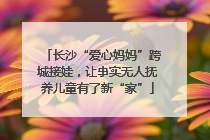 长沙“爱心妈妈”跨城接娃，让事实无人抚养儿童有了新“家”