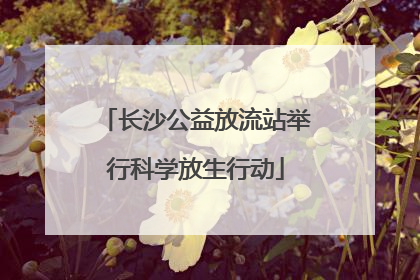长沙公益放流站举行科学放生行动