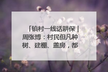 镇村一线话耕保｜周张博：村民但凡种树、建棚、盖房，都要向街道报批