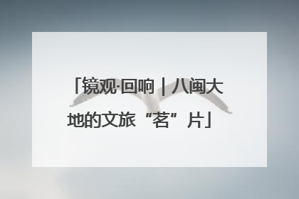镜观·回响｜八闽大地的文旅“茗”片