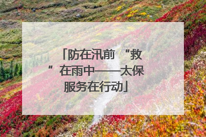 防在汛前 “救”在雨中——太保服务在行动