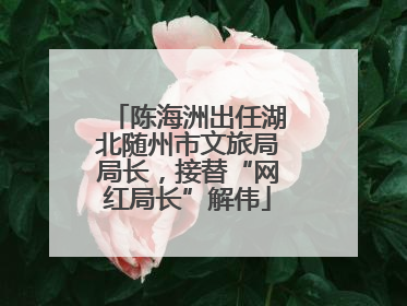 陈海洲出任湖北随州市文旅局局长，接替“网红局长”解伟