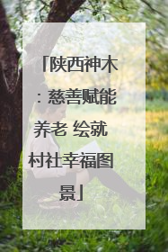 陕西神木：慈善赋能养老 绘就村社幸福图景