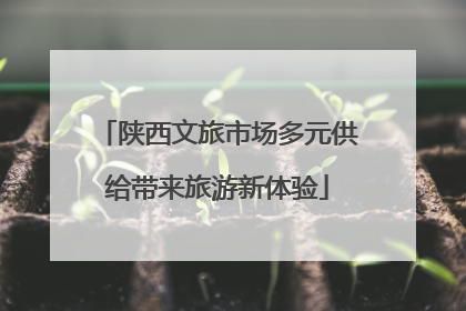 陕西文旅市场多元供给带来旅游新体验