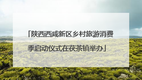 陕西西咸新区乡村旅游消费季启动仪式在茯茶镇举办