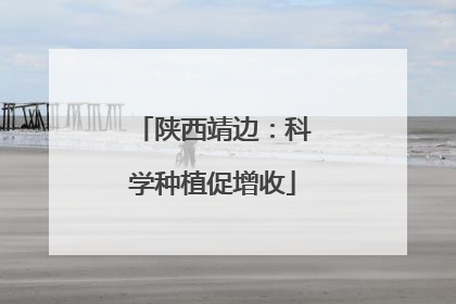 陕西靖边：科学种植促增收