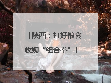 陕西：打好粮食收购“组合拳”