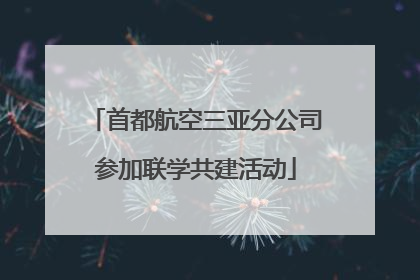 首都航空三亚分公司参加联学共建活动
