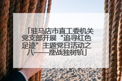 驻马店市直工委机关党支部开展“追寻红色足迹”主题党日活动之八——鏖战独树镇