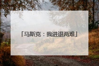马斯克：我进退两难