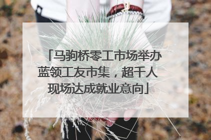 马驹桥零工市场举办蓝领工友市集，超千人现场达成就业意向