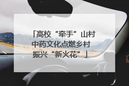 高校“牵手”山村 中药文化点燃乡村振兴“新火花”