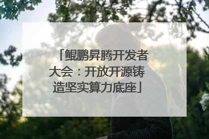 鲲鹏昇腾开发者大会：开放开源铸造坚实算力底座