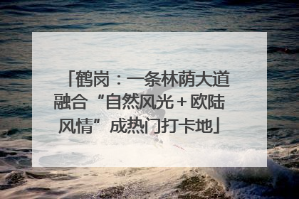 鹤岗：一条林荫大道融合“自然风光＋欧陆风情”成热门打卡地