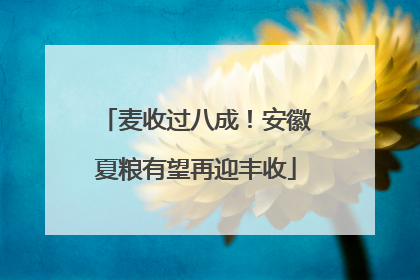 麦收过八成！安徽夏粮有望再迎丰收