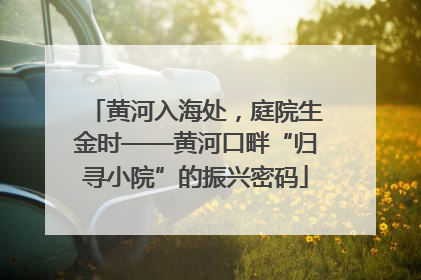 黄河入海处，庭院生金时——黄河口畔“归寻小院”的振兴密码