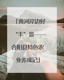 黄河岸边好“丰”景——合阳县特色农业养成记