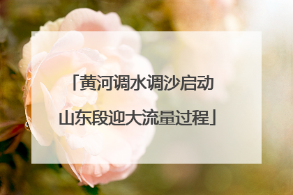 黄河调水调沙启动 山东段迎大流量过程