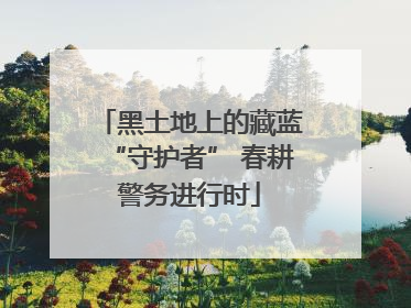 黑土地上的藏蓝“守护者” 春耕警务进行时