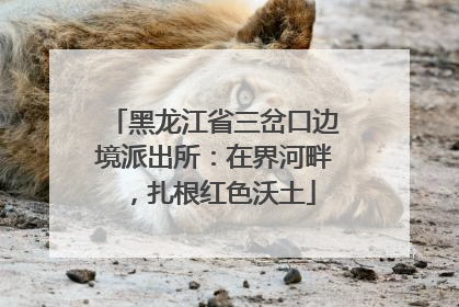 黑龙江省三岔口边境派出所：在界河畔，扎根红色沃土