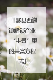 黟县西递镇解锁产业“丰景”里的共富方程式