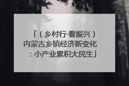(乡村行·看振兴)内蒙古乡镇经济新变化:小产业累积大民生