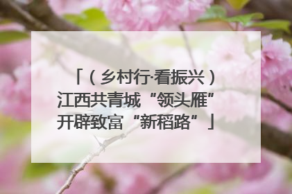 （乡村行·看振兴）江西共青城“领头雁”开辟致富“新稻路”