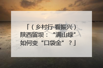 （乡村行·看振兴）陕西留坝：“满山绿”如何变“口袋金”？