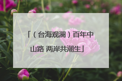 （台海观澜）百年中山路 两岸共潮生