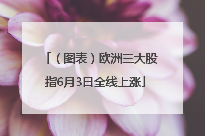 （图表）欧洲三大股指6月3日全线上涨