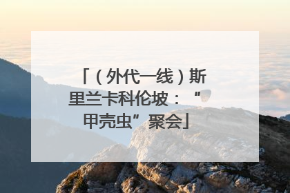 （外代一线）斯里兰卡科伦坡：“甲壳虫”聚会
