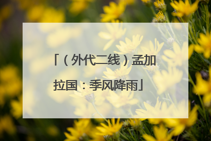 （外代二线）孟加拉国：季风降雨