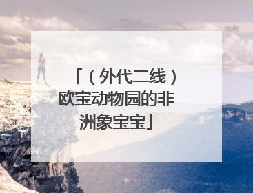 （外代二线）欧宝动物园的非洲象宝宝